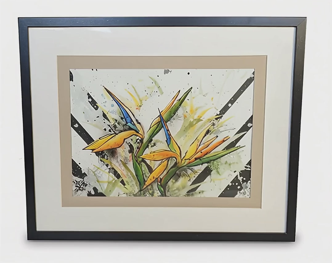 Bird of Paradise.